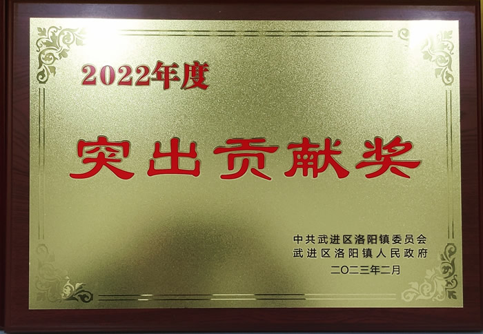 Outstanding Contribution Award for 2022