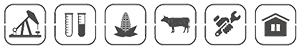 月仙